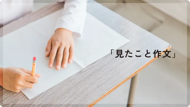 「見たこと作文」